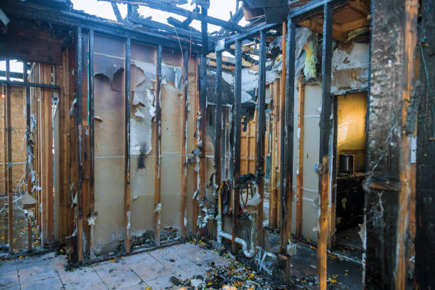Professional Fire Damage Assessment technician working in Mill Creek East, WA